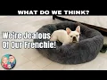 Bedsure Calming Dog Bed for Extra Large Dogs - Donut Washable Large Pet Bed