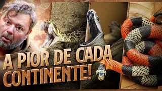 as serpentes mais pe onhentas de cada continente richard rasmussen
