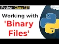 Working with Binary Files in Python Class 12 Python Binary Files Python for Class 12