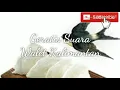 Download Lagu SUARA PANGGIL BURUNG WALET MP3 | BINTANG 7 | SUARA WALET TV