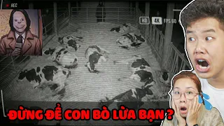 Tôi Lắp Camera ở Chuồng Bò Phát Hiện Điều Đáng Sợ Này ?! bqThanh & Ốc Chơi The Cattle
