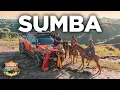 Lagu SUMBA Ternyata TIDAK SESUAI EKSPEKTASI? // #OverlandSumba EP. 3