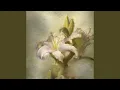 Download Lagu flower (slowed down)