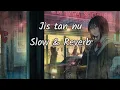 Download Lagu Jis Tan Nu ( Slowed \u0026 Reverbed ) Arif Lohar | Gippy Grewal 💕