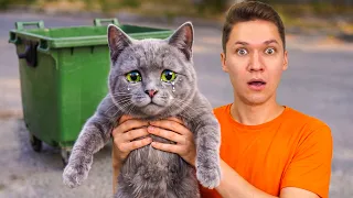 I Found a Talking Cat in Real Life