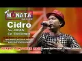 Download Lagu NEW MONATA - CIDRO - BRODIN - RAMAYANA AUDIO