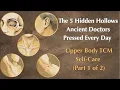 The 5 Hidden Hollows Ancient Doctors Pressed Every Day Upper Body TCM Self-Care Part 1 of 2