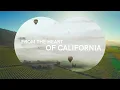 Chandon 50th Anniversary Celebration