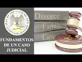 Court Case Basics Judge Counts Spanish