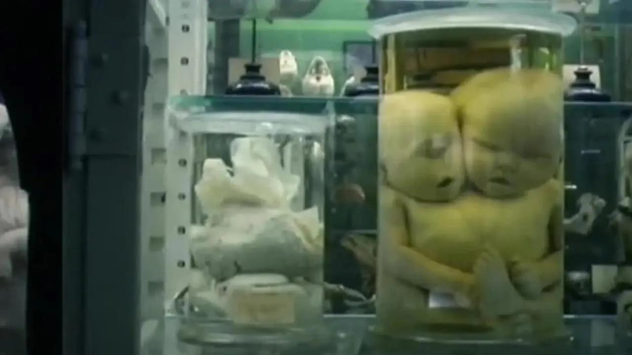 TechnoCalyps, Part I "TransHuman" || Full Documentary (2006) by Frank Theys