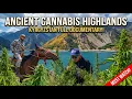 Lagu Strain Hunters  | Kyrgyzstan Expedition - Full Documentary