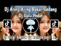 Download Lagu DJ ARING ARING BAKAR GEDANG SLOW | DJ GULU PEDOT VIRAL TIKTOK TERBARU 2025 ft mager rmx