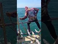 Download Lagu Mancing kakap putih besar di laut | Kakap Babon