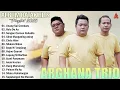 Lagu Arghana Trio Lagu Batak Terbaru 2025 ~Terpopuler Saat Ini Album Terbaik Enak Didengar 2025