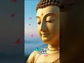Download Lagu Phật Dạy: Đời Người Ngắn Ngủi
