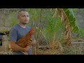 Download Lagu KAMPUNG TAWA ep. AYAM HILANG  ||  Kaboax Katawa Bareng Orang Kupang