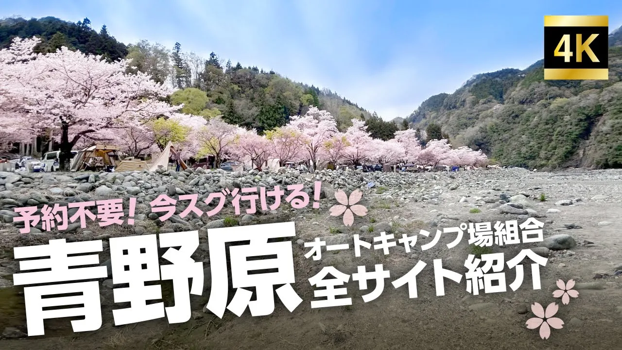 絶景！桜が満開！！神奈川キャンプ場　青野原オートキャンプ場サイト紹介 サムネイル