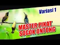 Download Lagu AUDIO MASTER PIKAT SOGON VARIASI 1