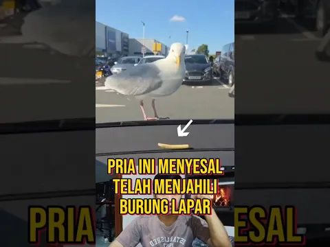 PRIA INI MEMBERI MAKAN SEEKOR BURUNG #kisahnyata #fakta