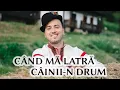 Download Lagu Alexandru Bradatan - Cand ma latra cainii-n drum