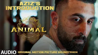animal bgm azizs introduction harshavardhan r ranbir k sandeep v bhushan k