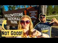 BEFORE YOU GO Things To Know Yellowstone Vlog