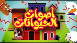أصوات الحيوانات   قناة بلبل           دندنها