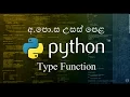 08 - Type Function