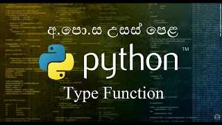 08 - Type Function