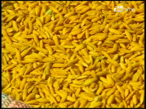 Ecuador Agropecuario 12-06-2018