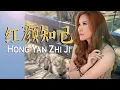 Download Lagu Hong Yan Zhi Ji 《红颜知己》Huang Jia Jia 黄佳佳