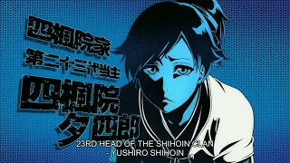 Yoruichi s Little Brother A Surprise Introduction Bleach TYBW EP 25 26