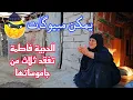 Download Lagu اولاد الحرام ما خلوا لأولاد الحلال حاجة فقدان  3 جاموسات للحجية فاطمة 😥