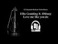 Ellie Goulding ft. DSharp - Love me like you do (DJ Alejandro Bachata Violin Remix)