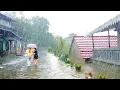 This is the Biggest Rainstorm of Winter in Indonesian Village l Rain Sounds for Sleep