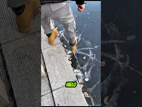 😂 ¡PAPÁ ROMPIÓ EL HIELO Y TERMINÓ EN EL AGUA HELADA! 😱 #shorts