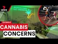 Concerns over new Goodna cannabis club and cafe 7 News Australia