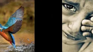 أغنية رائعة بعنوان الدنيا راها بخير ما تجهل ما تطير  أغنية رائعة بعنوان الدنيا راها بخير ما تجهل ما تطير