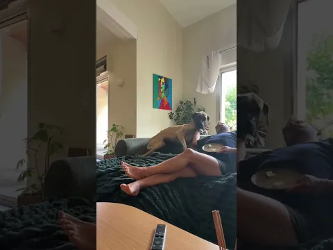 Athéna, va-t-elle me manger ?