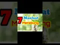 Lagu 7 Manfaat MENABUNG