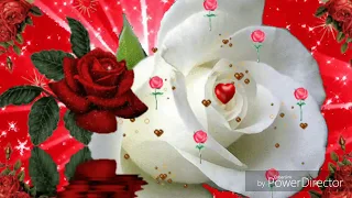 Good Night Gif With Tone