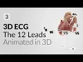 ECG leads and vessels in 3D 3D ECG Mobile App