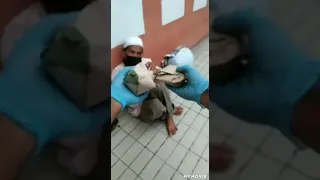                     دندنها