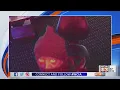 Springfield burglars steal 13k Crime Stoppers seeking tips