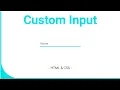 How to customise Input using HTML and CSS