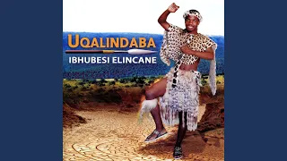 ibhubesi elincane
