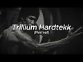 TRILLIUM HARDTEKK - S3RL and Bearn