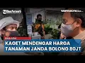 Download Lagu Harga Janda Bolong Membuat Kaget Walikota Bogor Bima Arya