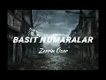 Zerrin Özer - Basit numaralar (Sözleri/ Lyrics+Speed up)