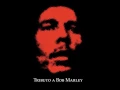 Satelite Kingston - Top rankin (AUDIO)